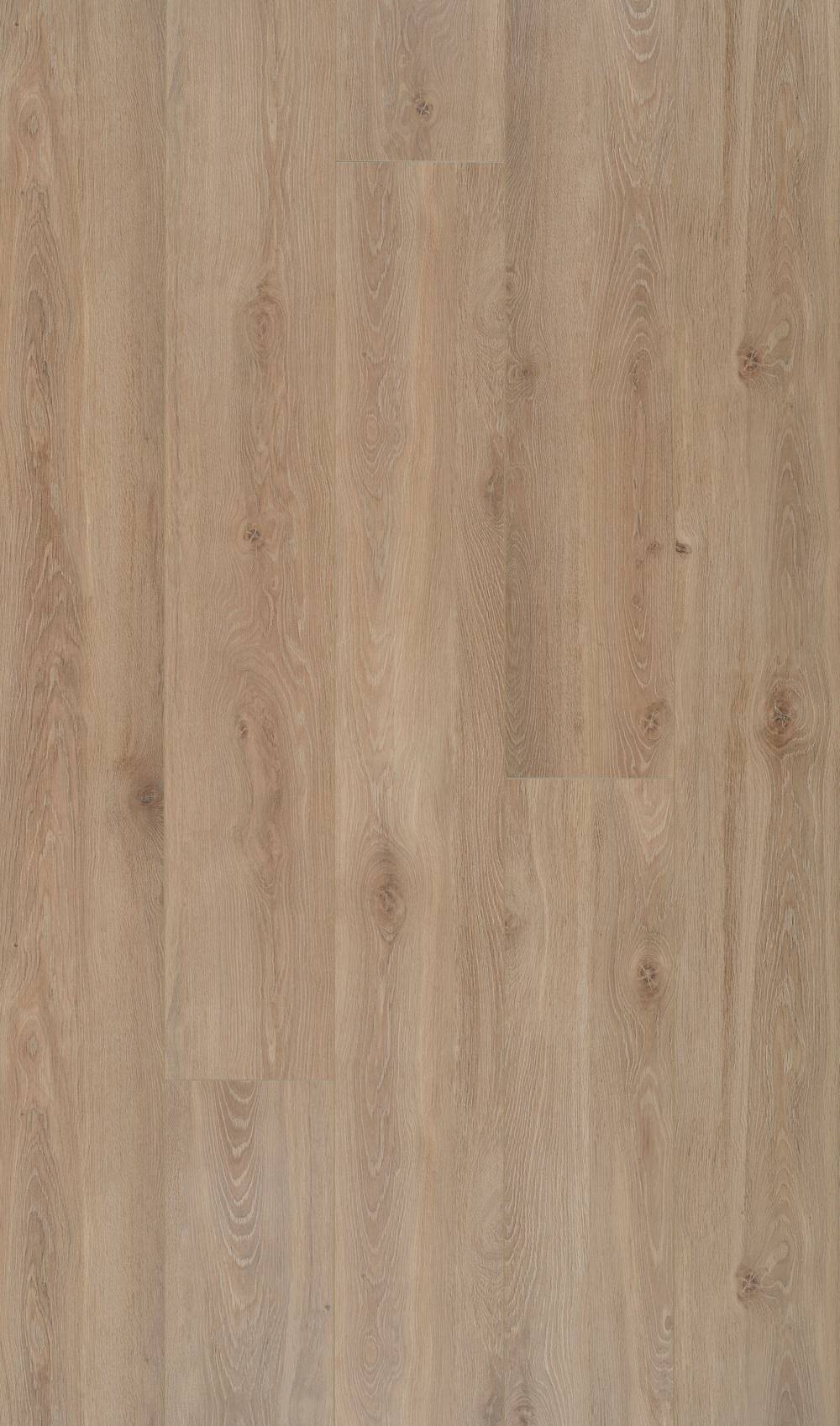 Berry Alloc Connect 8 XL Bloom Light Brown 62002416 Laminaat Laminaat