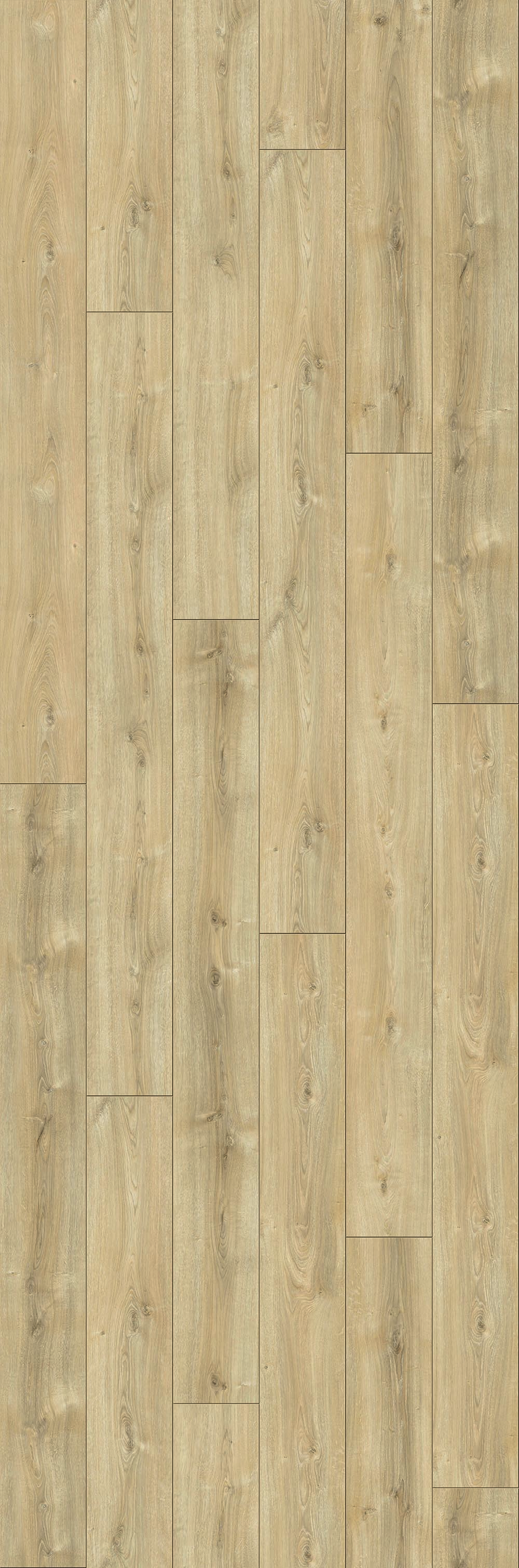 Laminaat Douwes Dekker DD Extra lange plank Komijn - L 220 cm x B 24,3 cm - 4V